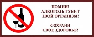 СКАЖИ «НЕТ» АЛКОГОЛЮ!